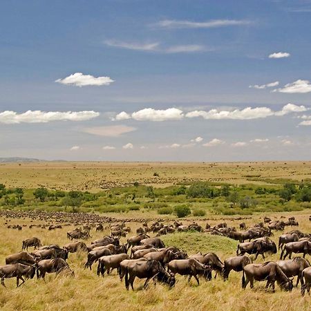 Mara Intrepids Tented Camp Talek Luaran gambar