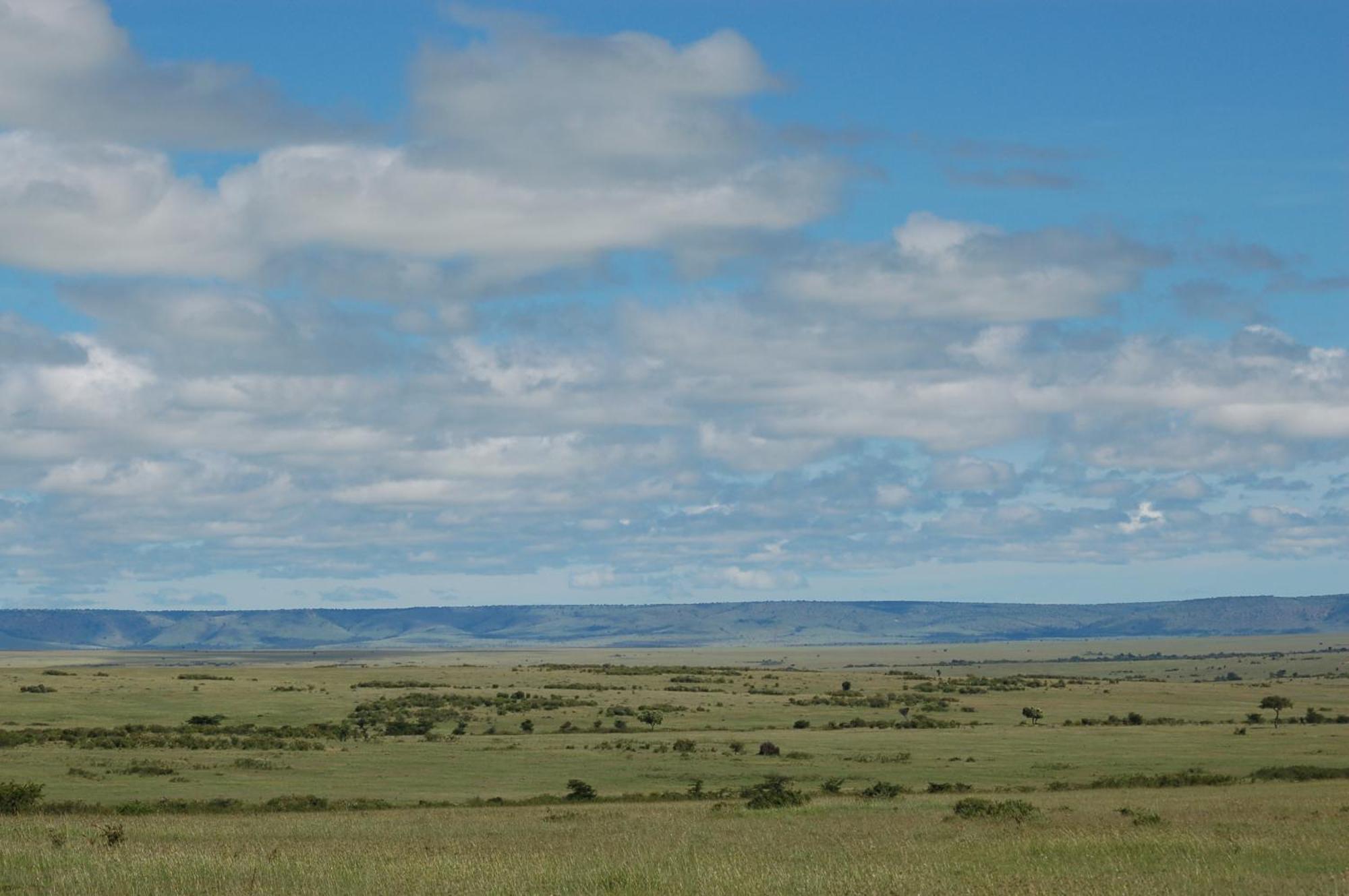 Mara Intrepids Tented Camp Talek Luaran gambar