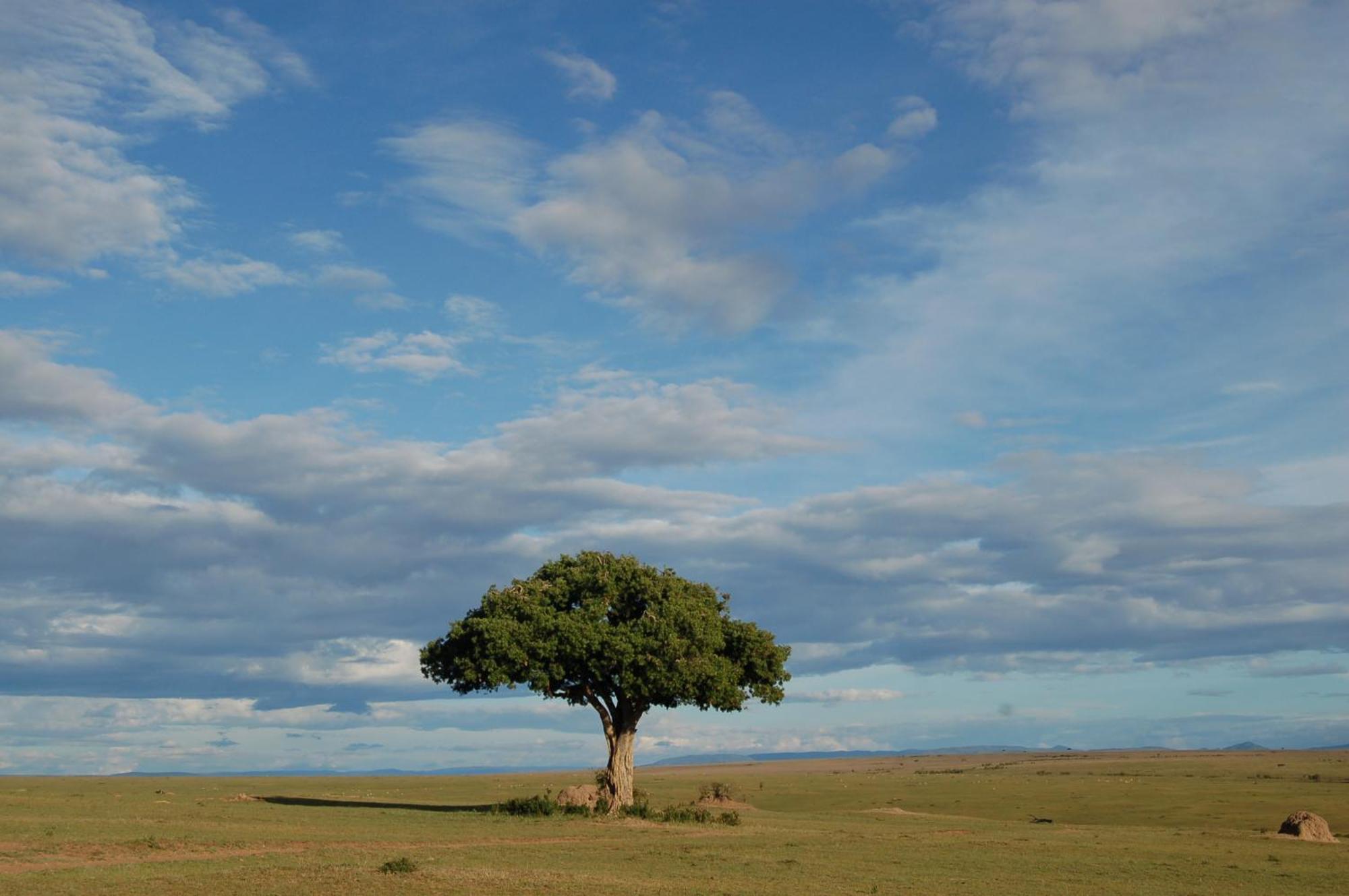 Mara Intrepids Tented Camp Talek Luaran gambar