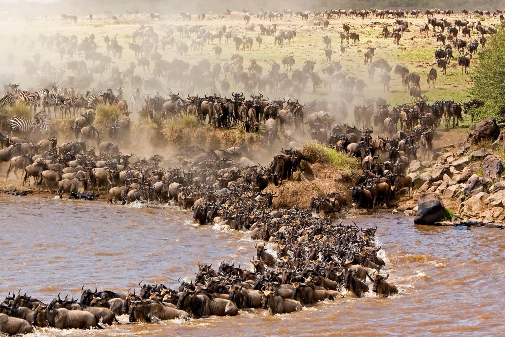 Mara Intrepids Tented Camp Talek Luaran gambar